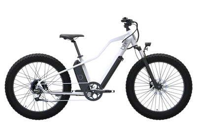 Blix electric bike for sale sale